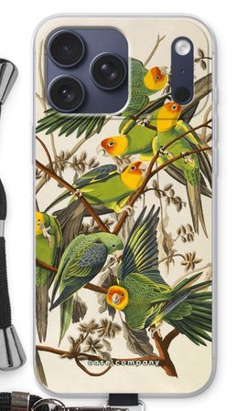 Carolina Parrot