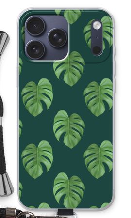 Monstera leaves