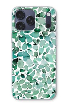 Eucalyptus à feuilles