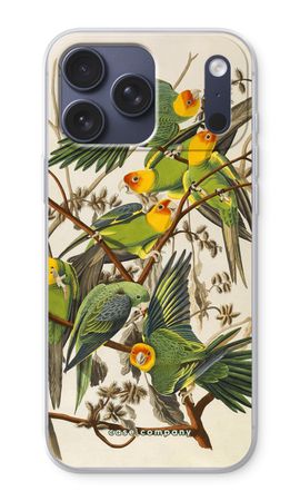 Carolina Parrot