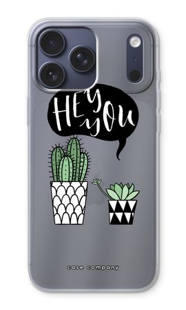 Hey you cactus