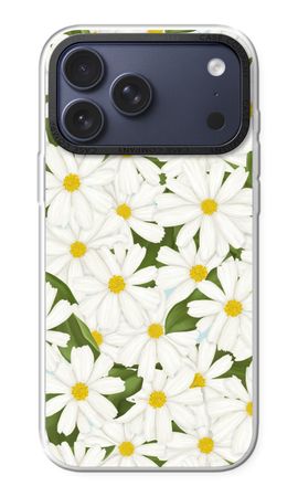 Summer Daisies