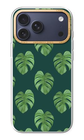 Monstera leaves