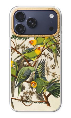 Carolina Parrot