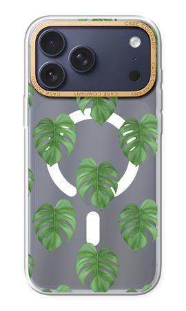 Monstera leaves