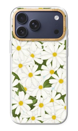 Summer Daisies