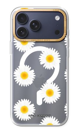 Gänseblümchen