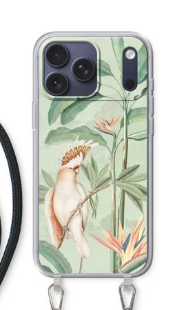Tropical Parrot