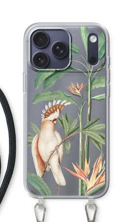 Tropical Parrot