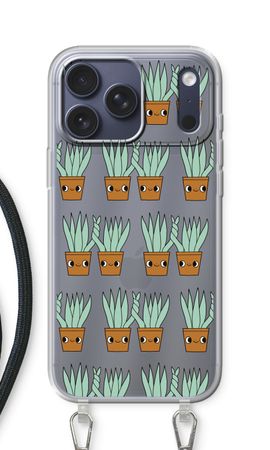 Sansevieria