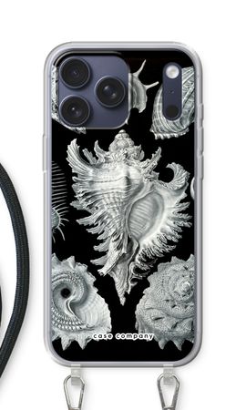 Haeckel Prosobranchia