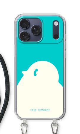 BIG Robin 2