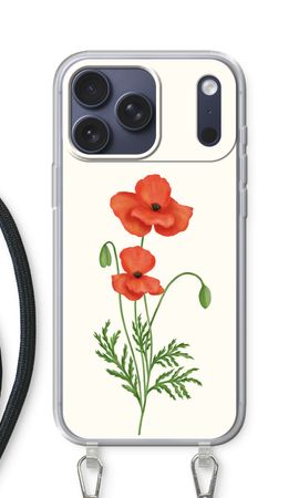Red poppy