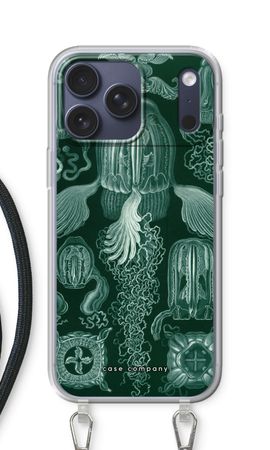 Haeckel Cubomedusae