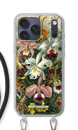 Haeckel Orchidae