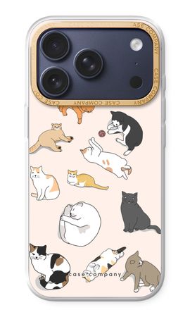 Cats
