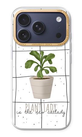 Houseplant on windowpane