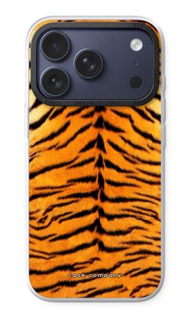 Tijger
