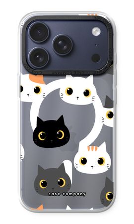 Cats