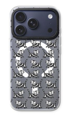 Zwarte poes