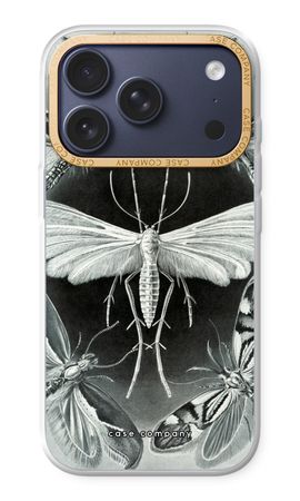 Haeckel Tineida