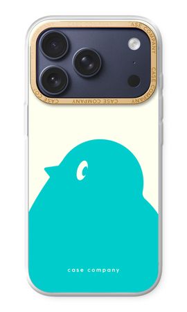 BIG Robin 1