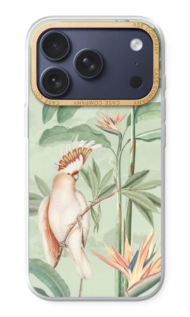 Tropical Parrot