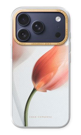 Tulip