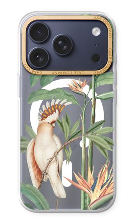 Tropical Parrot