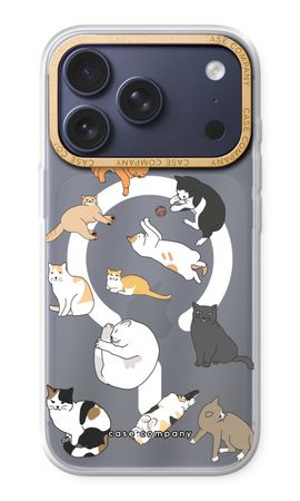 Cats