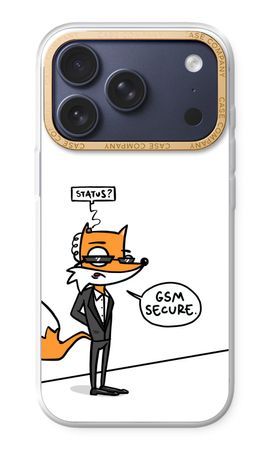 GSM secure