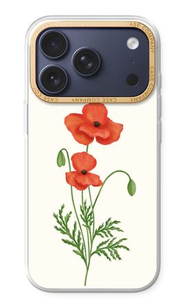 Red poppy