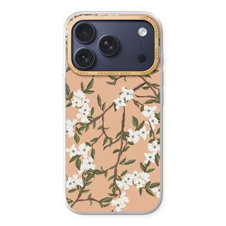 Blossoming spring