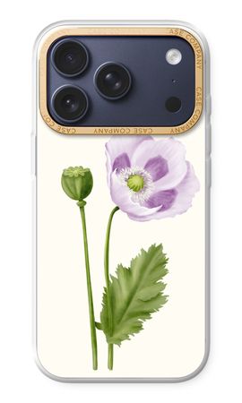Purple poppy