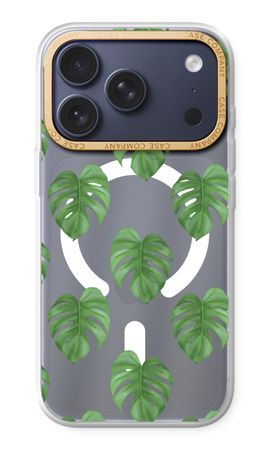 Monstera leaves