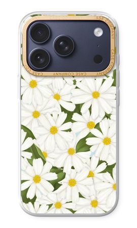 Summer Daisies