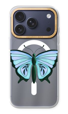 Blue Butterfly