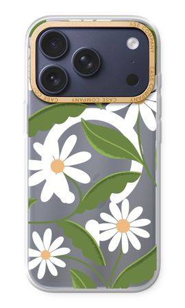 Daisies All Over