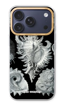 Haeckel Prosobranchia