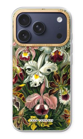 Haeckel Orchidae
