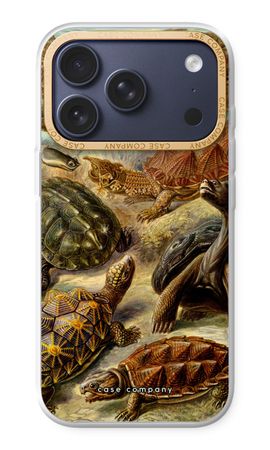 Haeckel Chelonia