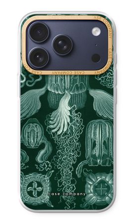 Haeckel Cubomedusae