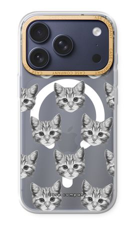 Kitten