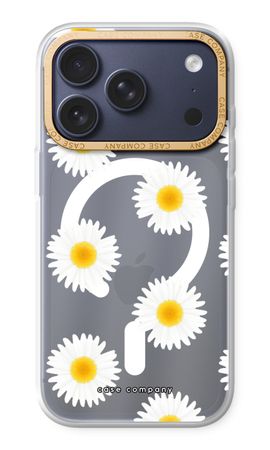 Daisies
