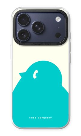 BIG Robin 1
