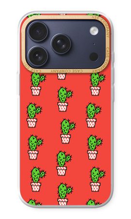 Mini cactus