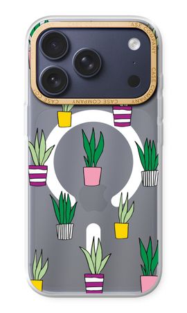 Sanseveria