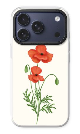 Red poppy