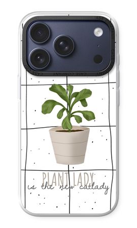 Houseplant on windowpane
