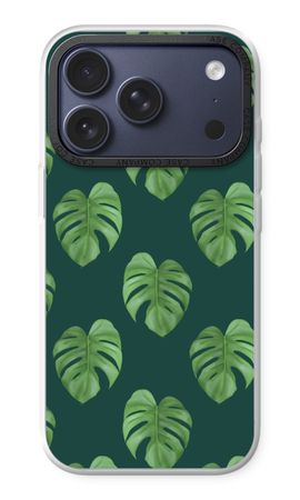 Monstera leaves